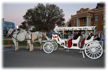 Citrus County Carriage Riding