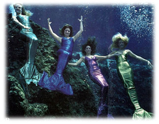 Weeki Wachee Mermaids