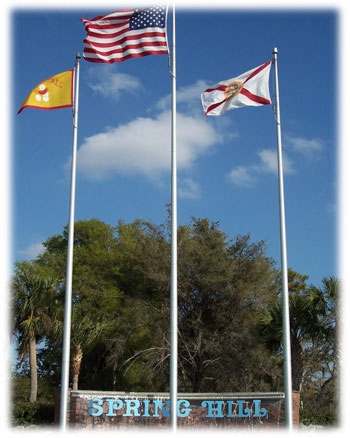 Spring Hill Sign