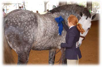Horses in Marion County