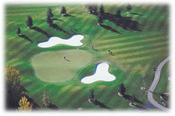 Pasco County Golf