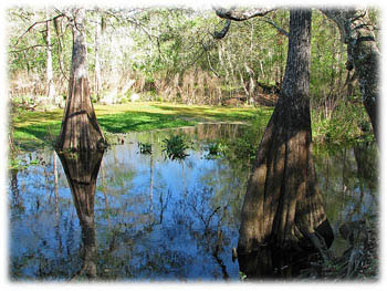 Withlacoochee River