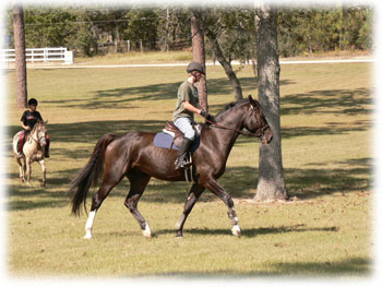 Horseback Riding in Sumter County